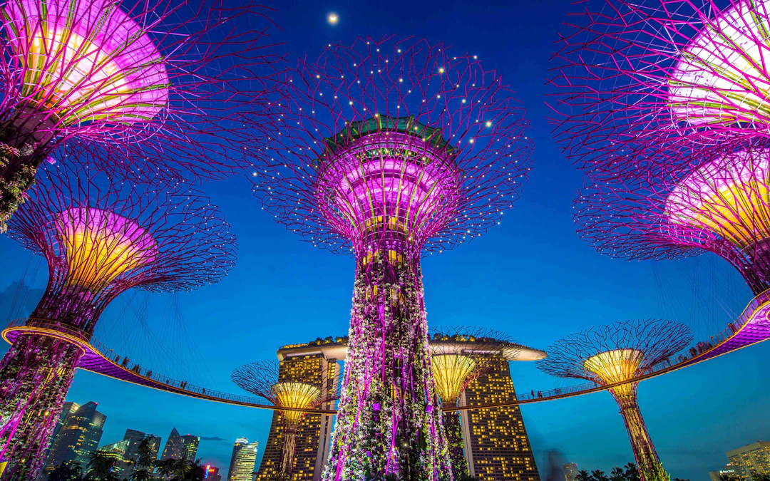 Gardens By The Bay Light Show Tickets Zeiten Mehr Gardens by the bay light show tickets zeiten mehr